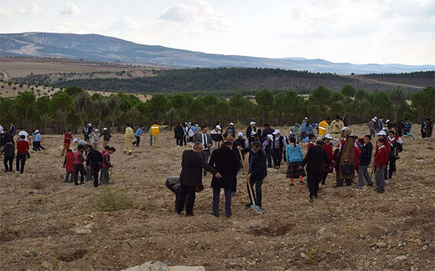 81 İL’DE AYNI ANDA FİDANLAR TOPRAKLA BULUŞTU!