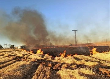 16 mahalle anız yüzünden elektriksiz kaldı