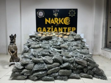 170 kilogram skunk ele geçirildi