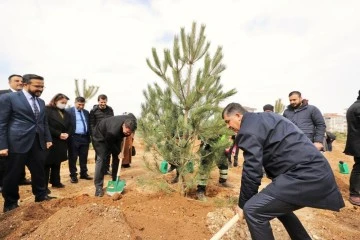 24. ETAP ŞEHİTKAMİL ORMANI GENİŞ KATILIMLA OLUŞTURULDU