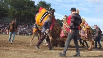 250 deve kıyasıya yarıştı