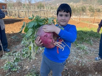 6 kilo 700 gram dev turp görenleri şaşırtıyor