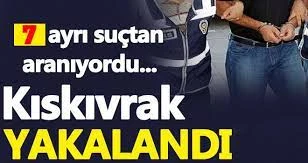 7 farklı olayın faili düzenlenen operasyonla yakalandı