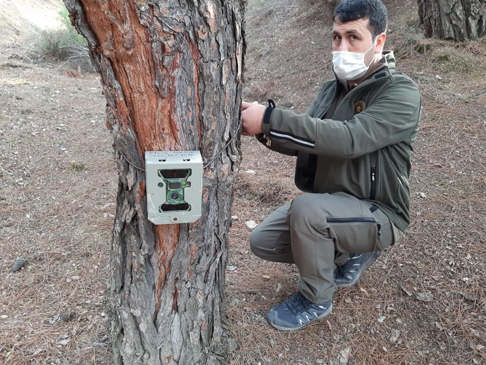 ORMANLARA FOTOKAPANLAR YERLEŞTİRİLİYOR