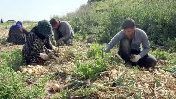 Açık alanda çalışan işçilere sıcak hava uyarısı