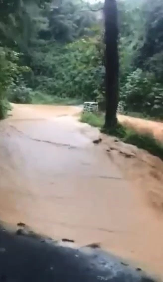 Artvin'de şiddetli yağışta bazı köy yolları ulaşıma kapandı