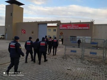 BAĞ EVİ HIRSIZLARINA JANDARMADAN OPERASYON