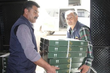 Baklavacıların ihracat başarısı