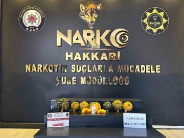 Bal kabakları içerisinden bakın ne çıktı!