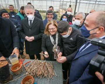 BAŞKAN ŞAHİN, TEDAVİ GÖREN MADDE BAĞIMLISI GENÇLERİN REHABİLİTE OLMASINA BİRLİKTE FİDAN DİKEREK DESTEK OLDU