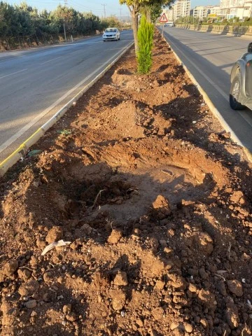 Belediye Dikiyor Hırsızlar çalıyor