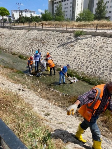 Belediye ekiplerinden Dere temizliği