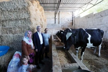 Belediyenin destekleri ile hayvancılık gelişiyor 