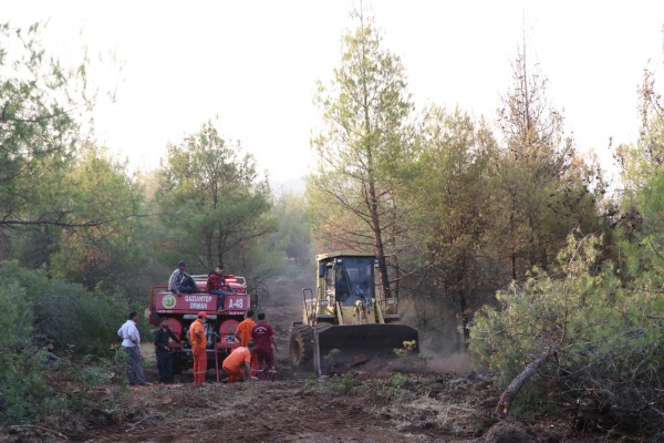 BÜYÜKŞEHİR'DEN KİLİS’TEKİ ORMAN YANGININA 70 BİN FİDAN DESTEĞİ