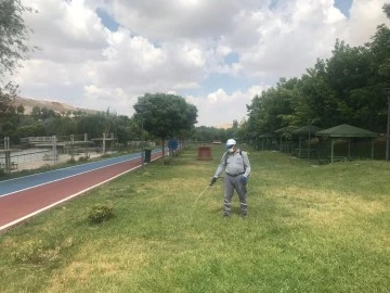 BÜYÜKŞEHİR, KENE VAKALARINA KARŞI PARK, BAHÇE VE MESİRE ALANLARINDAKİ İLAÇLAMA ÇALIŞMALARINI ARTIRDI