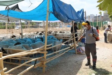 BÜYÜKŞEHİR, KURBAN SATIŞ VE KESİM YERLERİNDE İLAÇLAMA ÇALIŞMALARI YAPTI