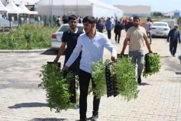 Çiftçilere 2 milyon sebze fidesi dağıtıldı