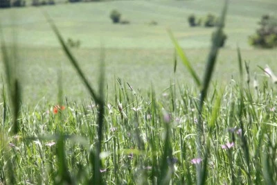 Çiftçilere &quot;ÇKS ürün güncellemesi&quot; hatırlatması