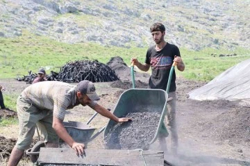 Çukurova sıcağında  narenciye odunları mangal kömürüne dönüşüyor