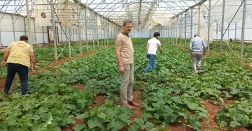 Devlet Desteği İle Kurduğu Seralarda Tarımsal Üretime Yeniden Başladı