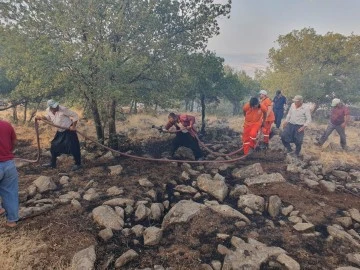 Düşen yıldırım ormanlık alanı yaktı