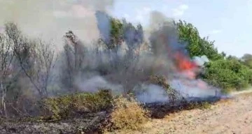 Fırat nehri kenarındaki yangın ormanlık alana zarar verdi