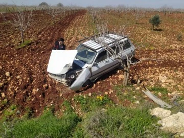 Fıstık bahçesine devrilen otomobilin sürücüsü yaralandı