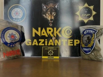 Gaziantep'te 2 kilo skunk ele geçirildi