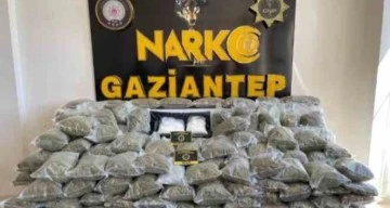 Gaziantep'te 80 kilo esrar ele geçirildi