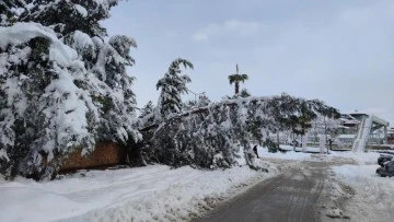 GAZİANTEP'TE KAR'DAN ÇATILAR ÇÖKTÜ AĞAÇLAR DEVRİLDİ