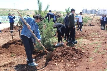 Gaziantep'te lise öğrencilerinden hatıra ormanı