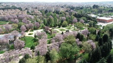 GAZİANTEP'TE SEZAİ KARAKOÇ ANISINA EDEBİYAT PARKI YAPILACAK