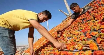 Gaziantep'te sezonun son kurutmalıkları güneşe bırakıldı