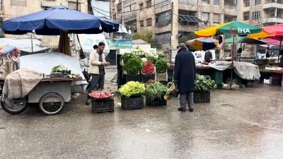 Halep'te 14 yıllık Esad işgalinin ardından günlük hayat hareketlendi