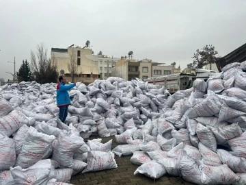 Harıl harıl kömür dağıtımı sürüyor