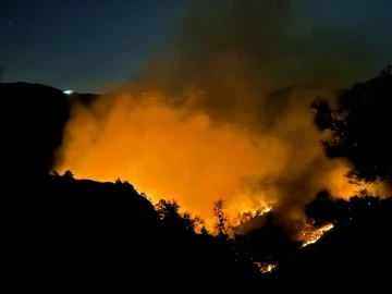 Hatay’da ormanlık alanda yangın