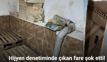 Hijyen denetimde çıkan fare şok etti