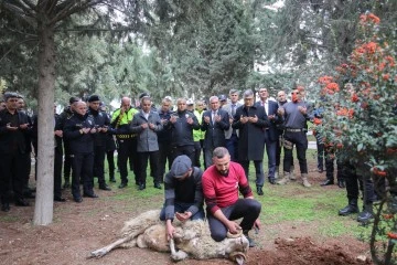 İl Emniyet Müdürlüğü kaza ve belalardan korunmak amacıyla kurban kesti