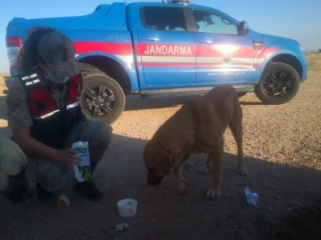 JANDARMA’DAN ÖRNEK ALINACAK HAREKET