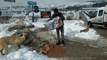 KAREKOD HİZMETİYLE SAHİPSİZ SOKAK HAYVANLARI AÇ KALMAYACAK!