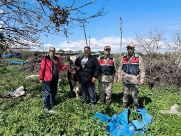 Kaybolan inek jandarma tarafından bulundu