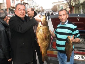 Kebap diyarında balık avlayarak geçimlerini sağlıyorlar