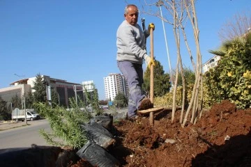 KİLİS BAHARA HAZIRLANIYOR