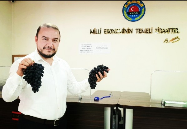 KİLİS HOROZ KARASI ÜZÜMÜMÜZE SAHİP ÇIKALIM