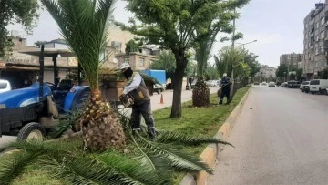 Başkan Bilecen: ‘’Kilis’imizi koruyor, yeşili seviyoruz’’