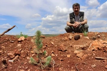 Kilis Orman İşletme Müdürü Gümüş : ‘’Alın teriniz can suyumuz olsun’’