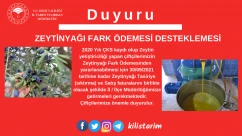 KİLİS TARIM MÜDÜRLÜĞÜNDEN UYARI!  &quot;ZEYTİNYAĞI FARK ÖDEMESİ İÇİN MÜRACAATINIZ YAPIN&quot;