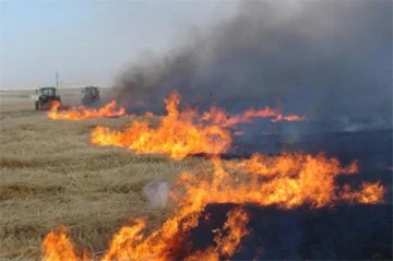 Kilis’te anız yakmak yasaklandı