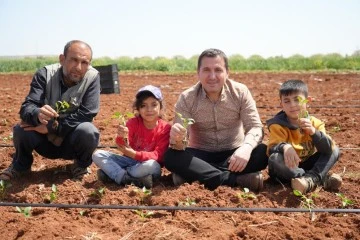 Kilis'te biber fideleri çocukların elleriyle toprakla buluştu