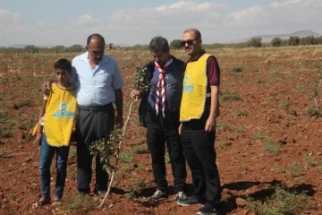 Kilis’te çiftçiye fidan desteği